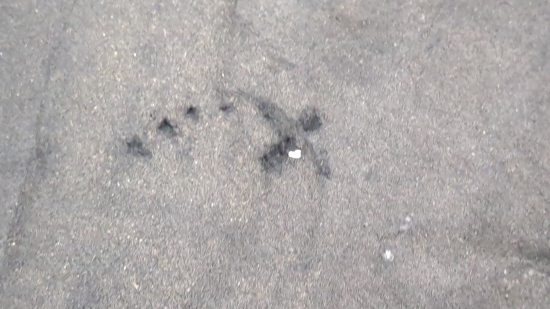 Шумоизоляция капота