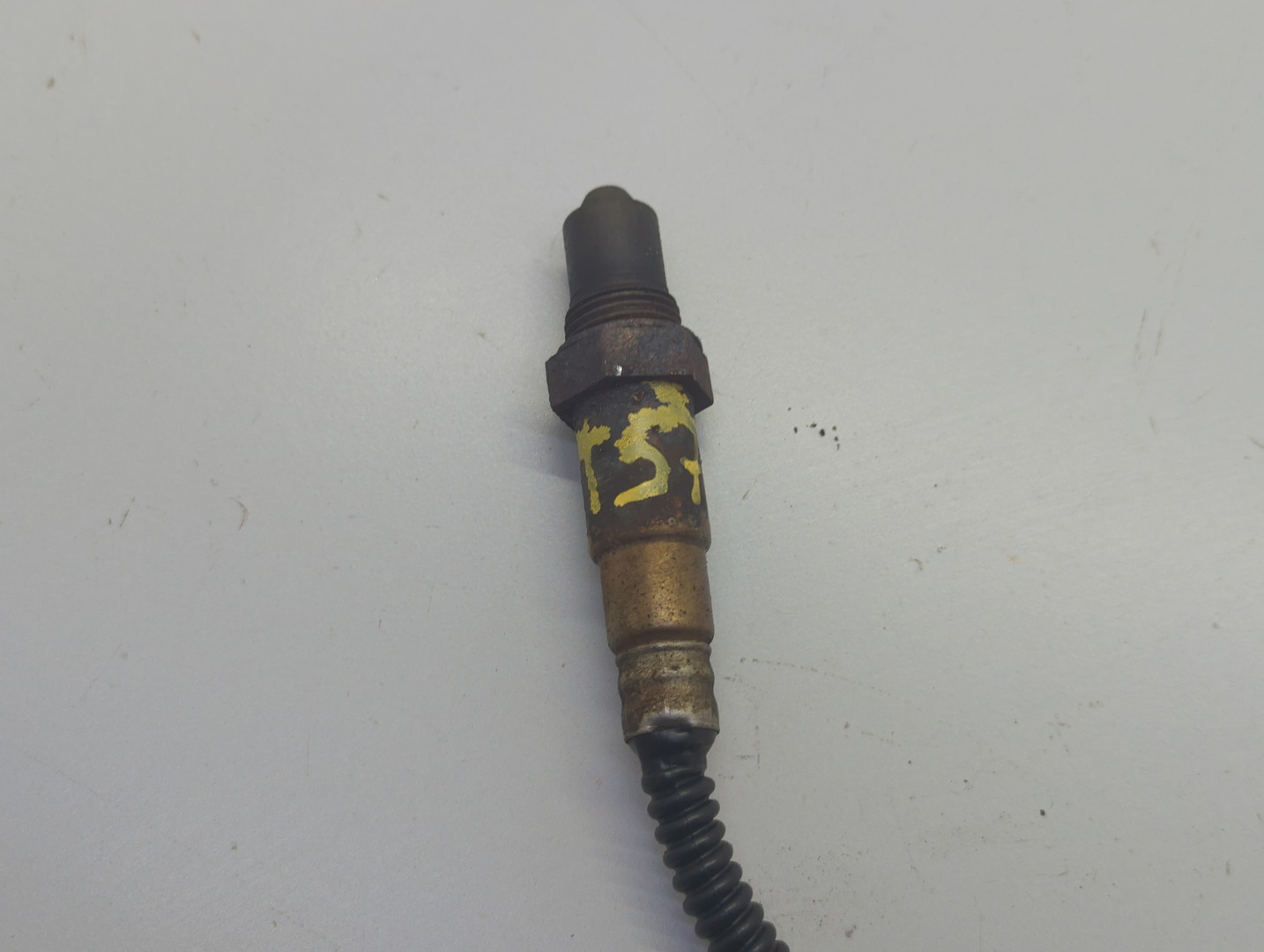 AP-0017471709 AP-0017471709