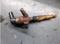 4M5Q9F593AD Форсунка топливная Ford Focus 2 2008-2011 20996784 #1