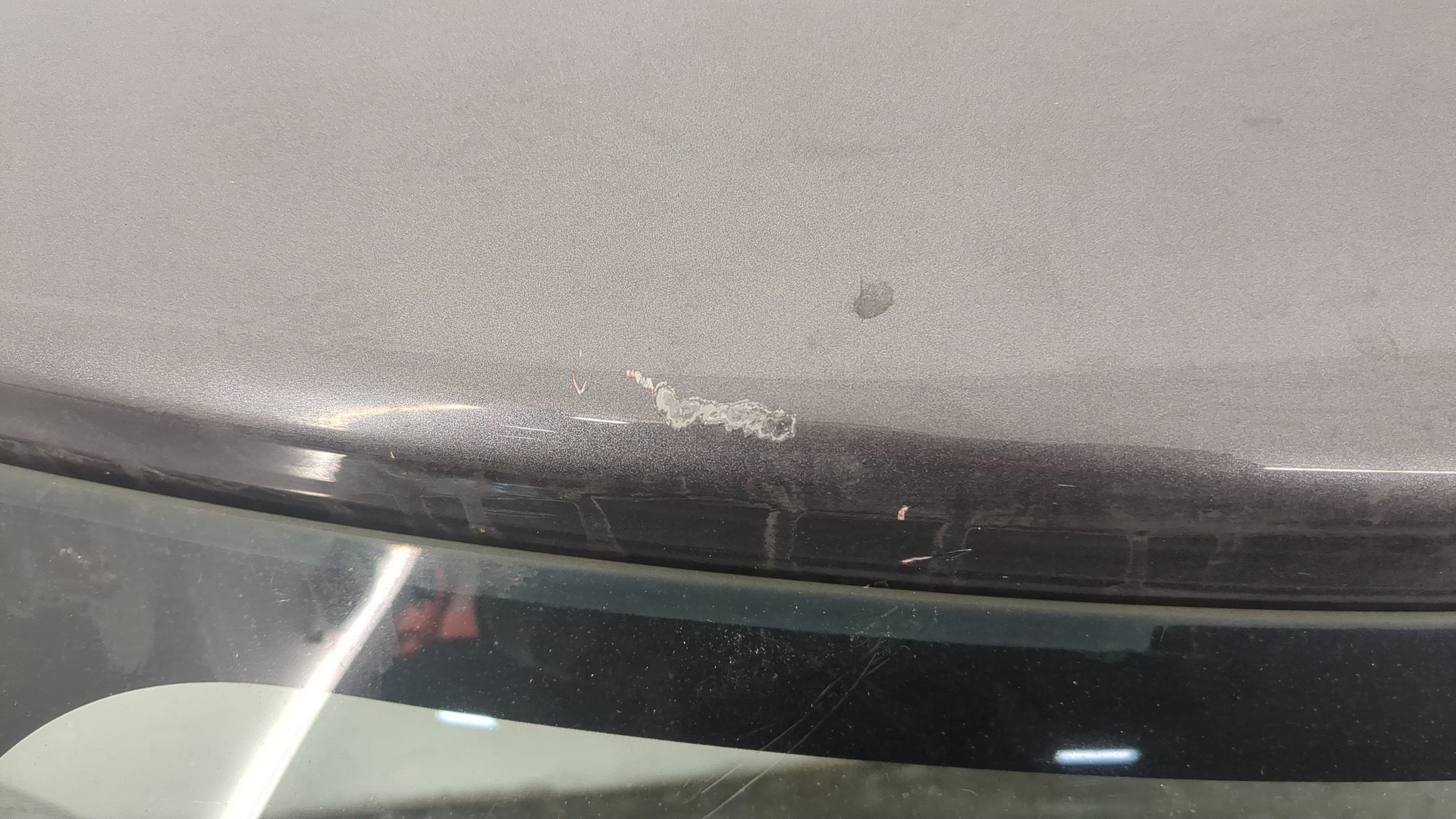 Дверь багажника