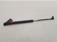 5345049045 Амортизатор капота Lexus RX 1998-2003 21005853 #1