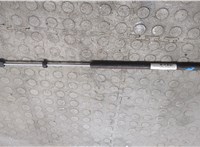 4580770AD Амортизатор капота Chrysler 300M 1998-2004 21014176 #4