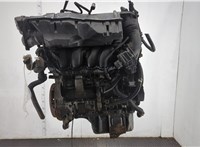 0135KK Двигатель (ДВС) Peugeot 207 2006-2015 21016825 #1