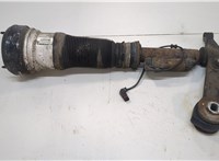 A2203205113, A2203202438 Амортизатор подвески Mercedes S W220 1998-2006 21016860 #1
