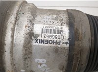 A2203205113, A2203202438 Амортизатор подвески Mercedes S W220 1998-2006 21016860 #2
