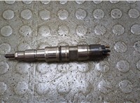 21000406, 20806011 Форсунка топливная Volvo FL 2006-2013 21021748 #1