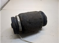 A1663200325, A1643200725 Пневмоподушка Mercedes GL X164 2006-2012 21024433 #1