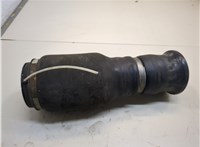 A1663200325, A1643200725 Пневмоподушка Mercedes GL X164 2006-2012 21024440 #1
