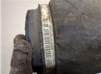 A1663200325, A1643200725 Пневмоподушка Mercedes GL X164 2006-2012 21024440 #2