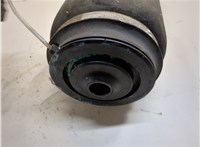 A1663200325, A1643200725 Пневмоподушка Mercedes GL X164 2006-2012 21024440 #4