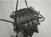 10102CZ05A Двигатель (ДВС) Renault Scenic 2009-2012 21025091 #8