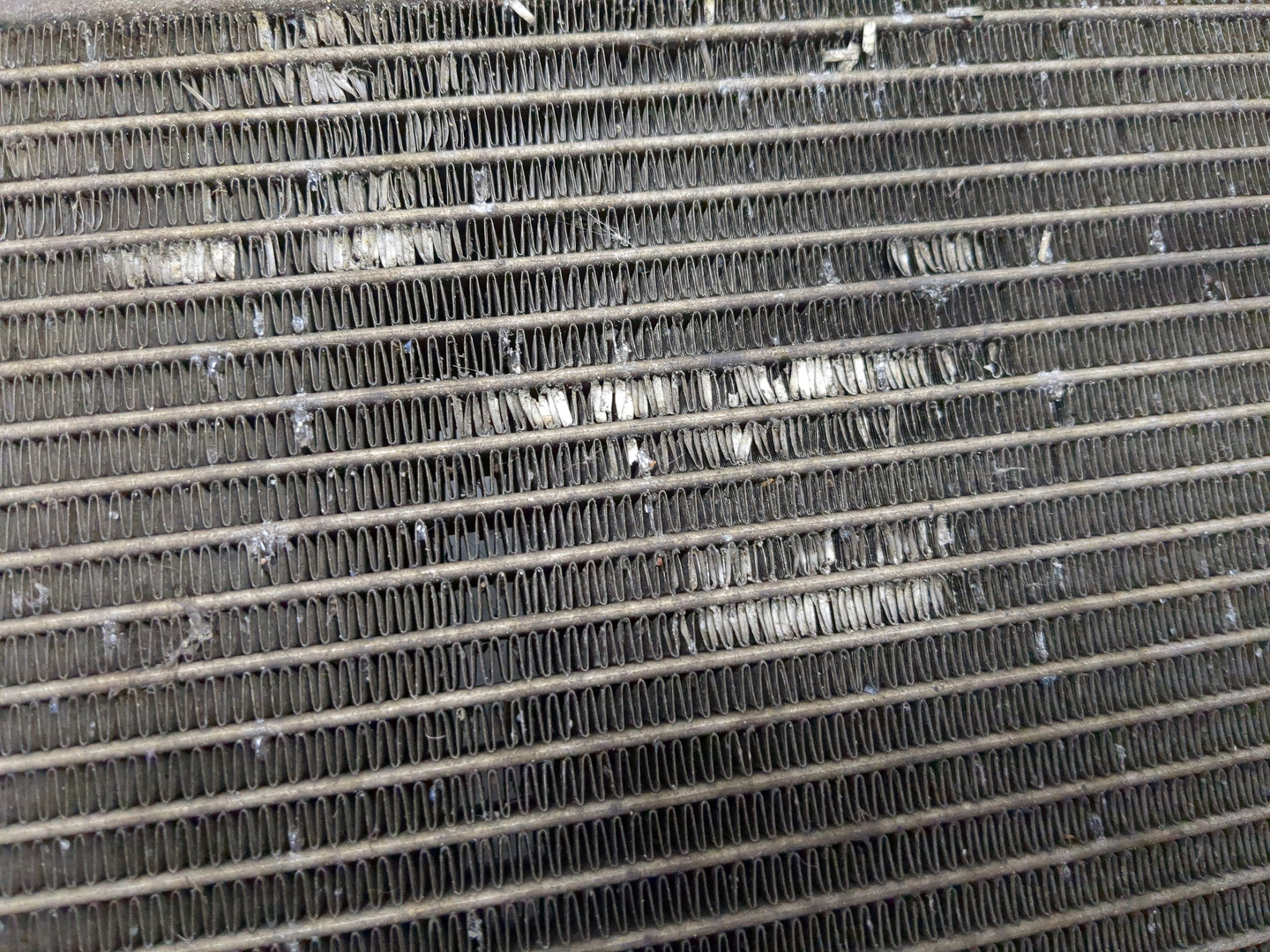 Радиатор охлаждения двигателя основной