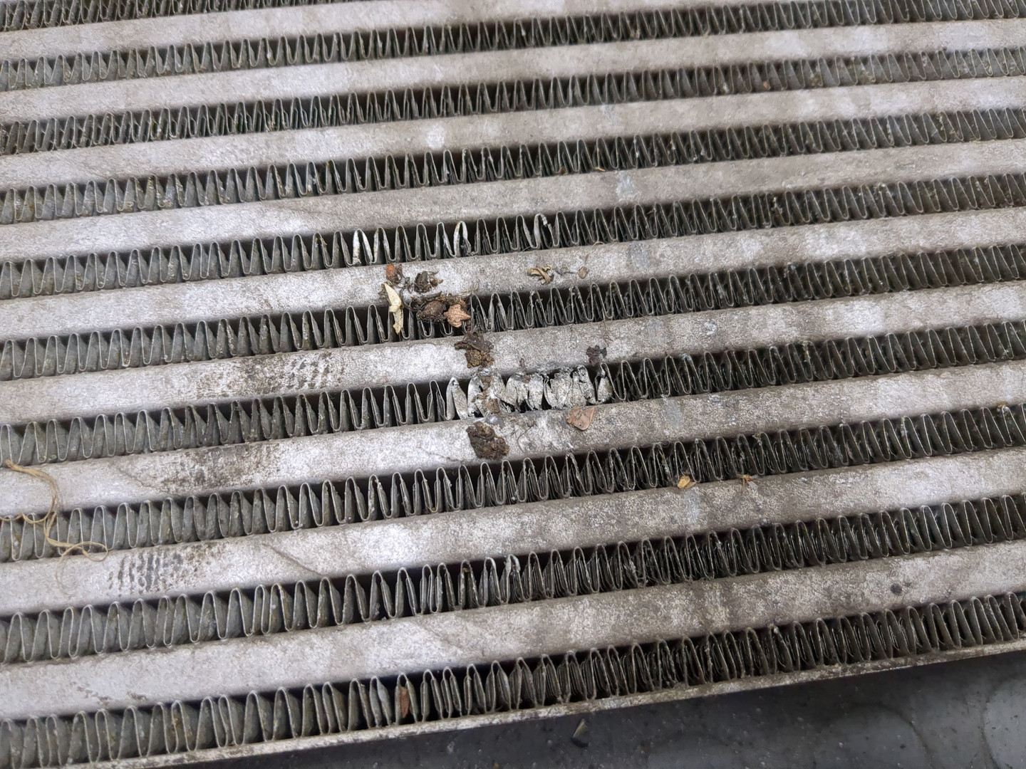 Интеркулер