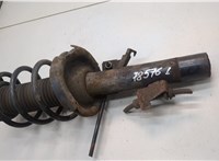 1595298 Амортизатор подвески Ford Focus 2 2008-2011 21030028 #2