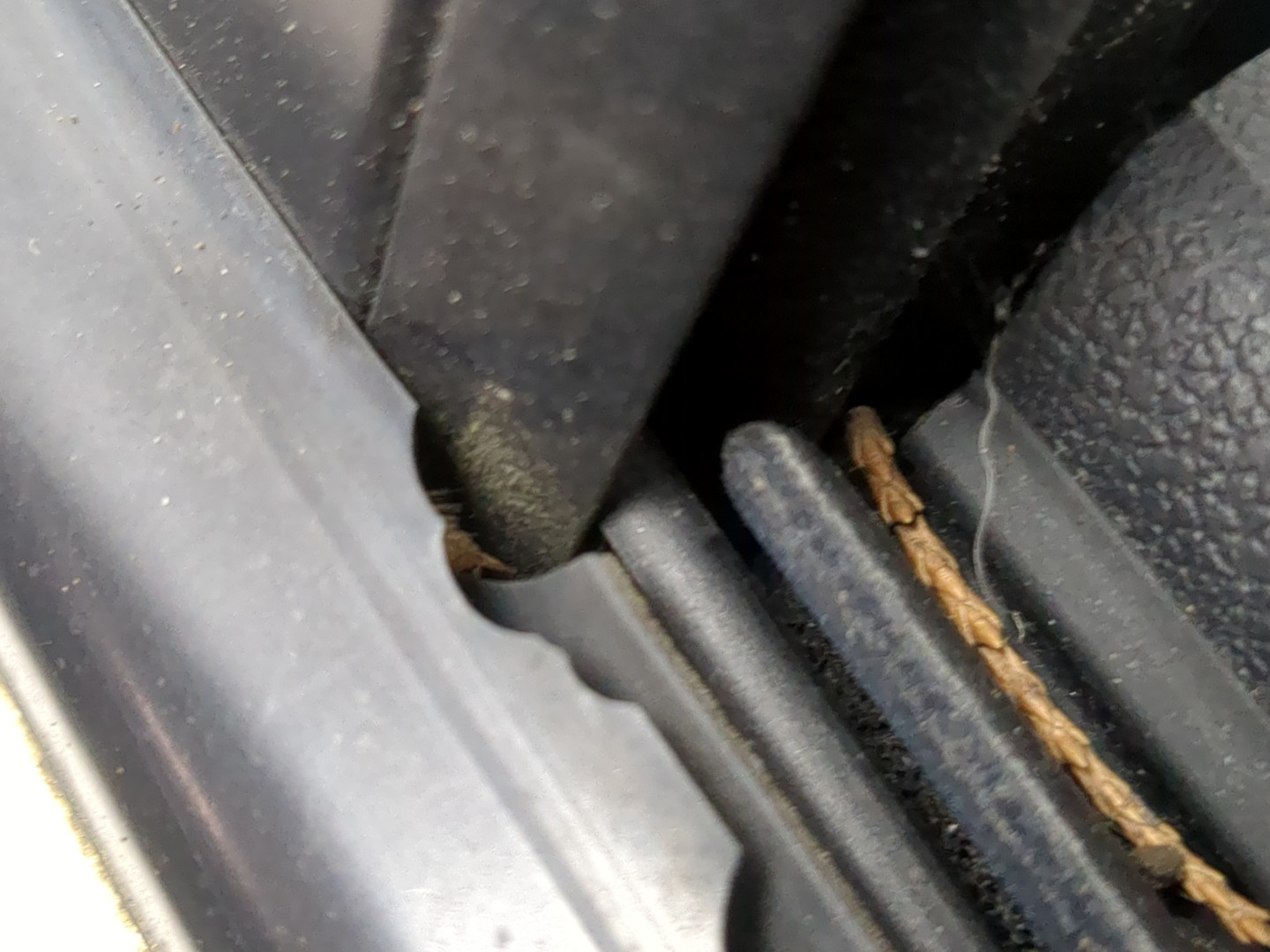 Дверь задняя левая