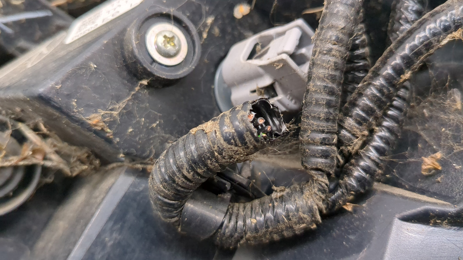 Фонарь задний левый