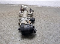 1436390, 6M5Q9D475AA, 1233381, 3M5Q9F464AA Клапан рециркуляции газов (EGR) Ford Kuga 2008-2012 21030886 #5