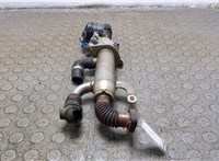 1436390, 6M5Q9D475AA, 1233381, 3M5Q9F464AA Клапан рециркуляции газов (EGR) Ford Kuga 2008-2012 21030886 #6