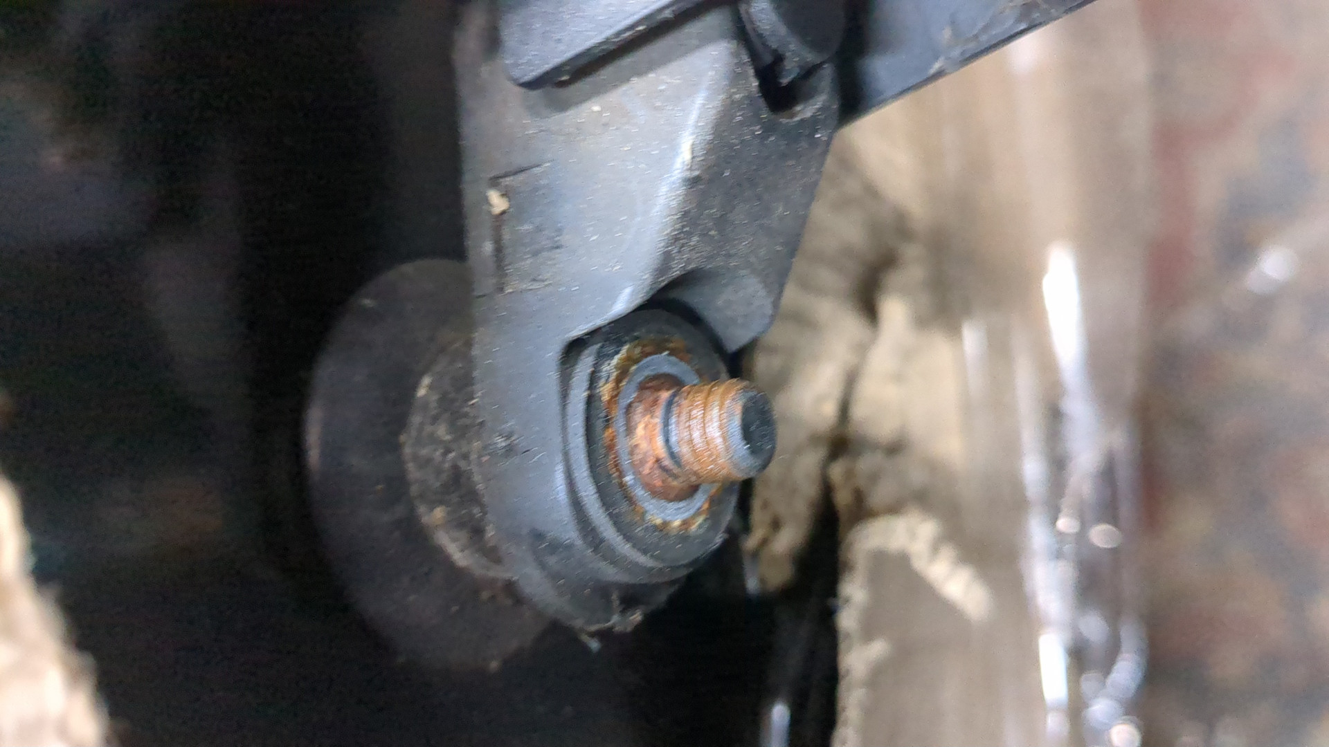 Дверь багажника