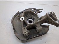 3C0505433G, 5K0498621 Ступица (кулак, цапфа) Volkswagen Tiguan 2011-2018 21038265 #1