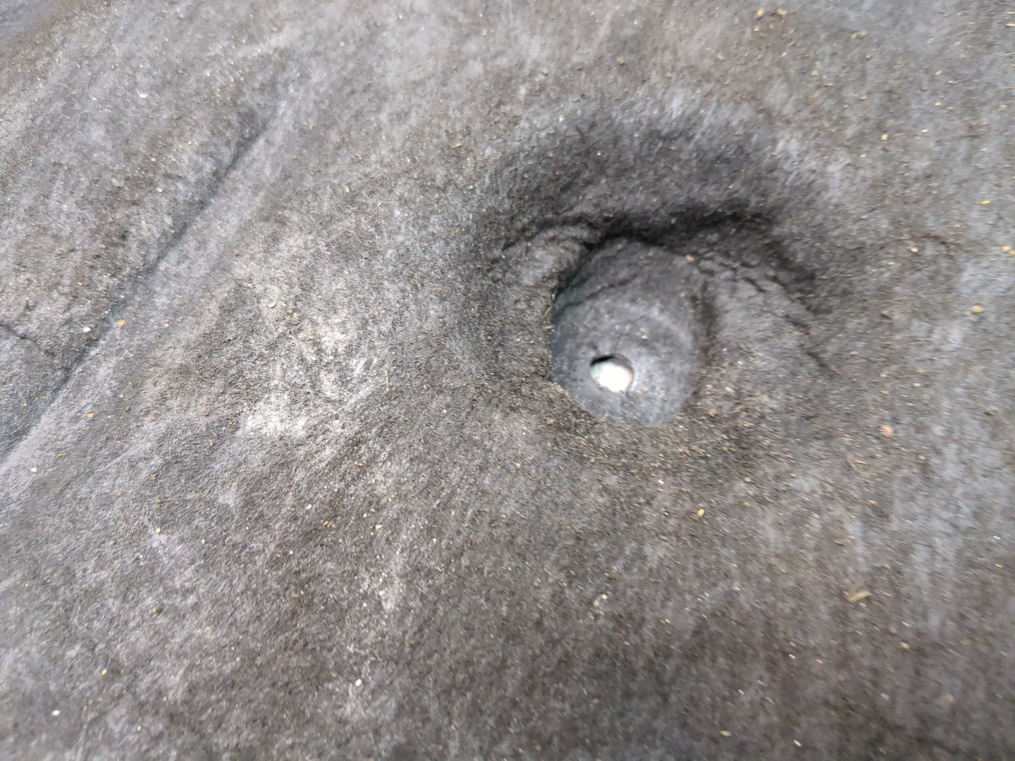 Защита картера