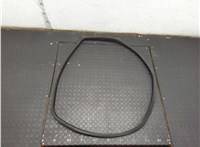 51357328772, 7328772 Уплотнитель BMW 6 F12, F13, F06 2011-2018 21044324 #1