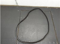 51357328771, 7328771 Уплотнитель BMW 6 F12, F13, F06 2011-2018 21044398 #1