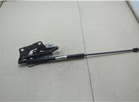 A1669802464 Амортизатор капота Mercedes GL X166 2012-2016 11741894 #4