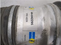 A2203205113, A2203202438 Амортизатор подвески Mercedes S W220 1998-2006 21045320 #4