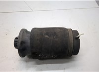 A1663200325 Пневмоподушка Mercedes GL X166 2012-2016 21045448 #1
