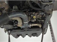 0130T3 Двигатель (ДВС) Citroen Berlingo 2002-2008 21049594 #15
