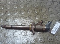 1633633, 9M5Q9F593AA, 0445110353 Форсунка топливная Ford Focus 2 2008-2011 21051944 #1