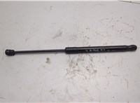 51237148346, 7148346 Амортизатор капота BMW X6 E71 2007-2014 21055057 #1