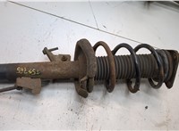  Амортизатор подвески Ford Focus 2 2008-2011 21059053 #4