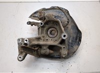 3C0505434G, 5K0498621 Ступица (кулак, цапфа) Volkswagen Tiguan 2011-2018 21059135 #1