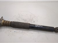  Амортизатор подвески Skoda Octavia (A5) 2004-2013 21061339 #1