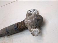 3C0513049BS Амортизатор подвески Volkswagen Passat 7 2010-2015 Европа 21062949 #3