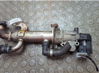 1436390, 1233381 Клапан рециркуляции газов (EGR) Ford S-Max 2006-2010 21063328 #4