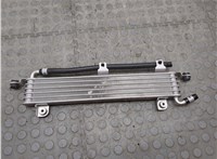 255006GA003 Радиатор масляный Honda Civic 2021-2025 21063990 #1