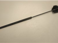  Амортизатор капота Volvo FL 2006-2013 21064762 #1