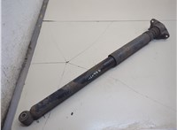  Амортизатор подвески Ford Focus 2 2008-2011 21069330 #1