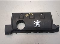 013789 Накладка декоративная на ДВС Peugeot 308 2007-2013 21069738 #1