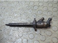 0445110353 Форсунка топливная Ford Focus 2 2008-2011 21072757 #1