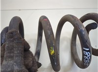 4500087, 4417863, 4401937, 4417864 Пружина подвески Opel Movano 1998-2010 21076815 #2