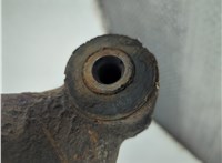  Ступица (кулак, цапфа) Mercedes Vito W639 2003-2014 21083254 #5