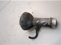 527277 Гидроаккумулятор (груша) Citroen C5 2004-2008 21094531 #3