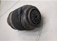 A2123203925, A2123204025 Пневмоподушка Mercedes E W212 2009-2016 21094541 #1