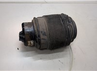 A2123203925, A2123204025 Пневмоподушка Mercedes E W212 2009-2016 21094541 #2