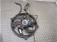 1250F8 Вентилятор радиатора Peugeot 607 2000-2010 21098484 #4