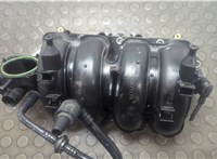  Коллектор впускной Volkswagen Bora 1998-2005 21100259 #1